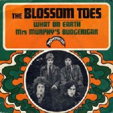 Blossom Toes - Postcard Blossom Toes - Postcard